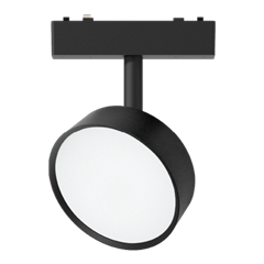 Round adjustable light